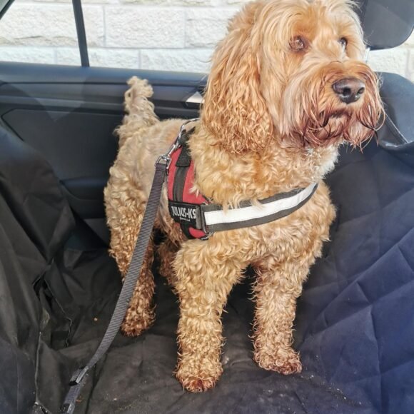 imgi_76_81SUapyHnTL 580x580