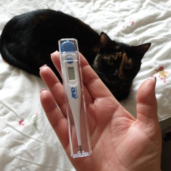 imgi_37_61GnBd1OuL 580x580