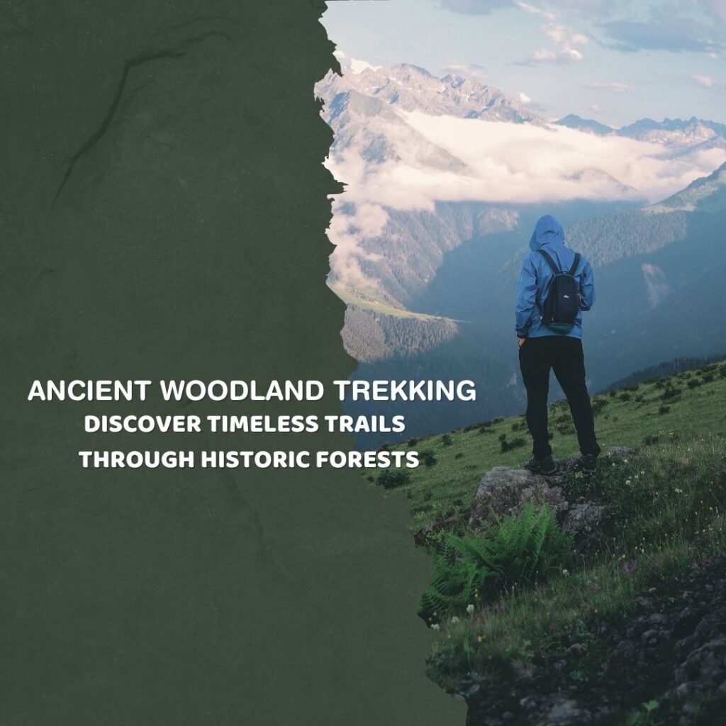 Ancient Woodland Trekking Discover Timeless Trails Through Historic Forests