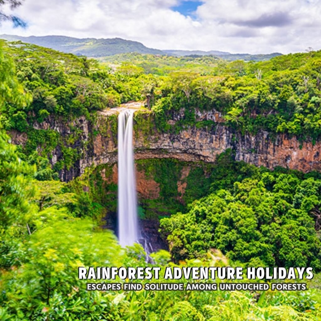Rainforest Adventure Holidays Explore Lush Wilderness and Hidden Natural Wonders